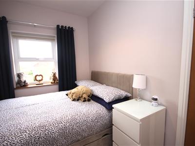 Picture 14